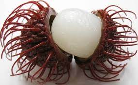 Rambutan seed is luscious, and mouthwatering inside is appealing, fruits are a great source of vitamins.